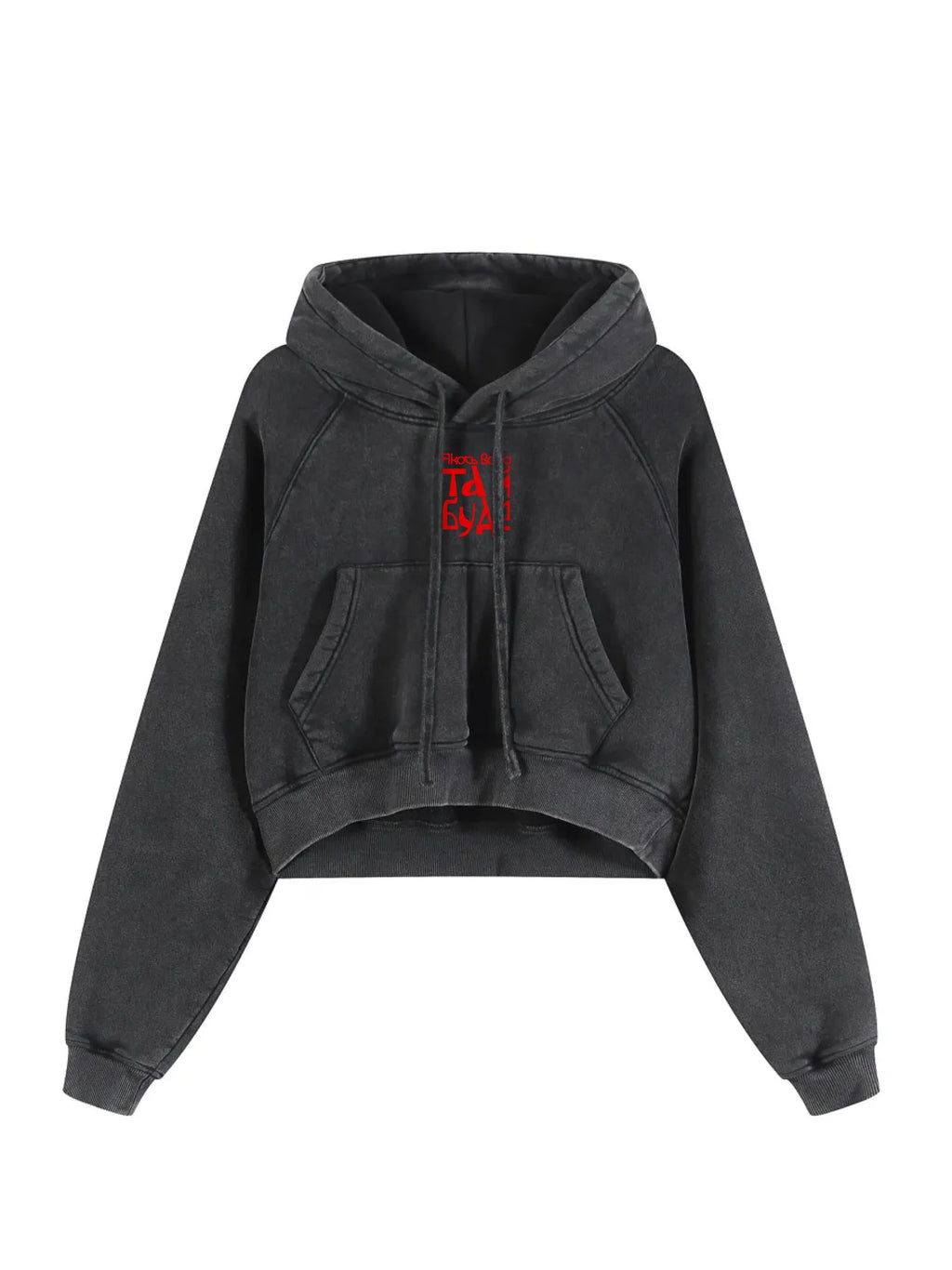 Snow Washed Cropped Hoodie / Якось воно та й буде