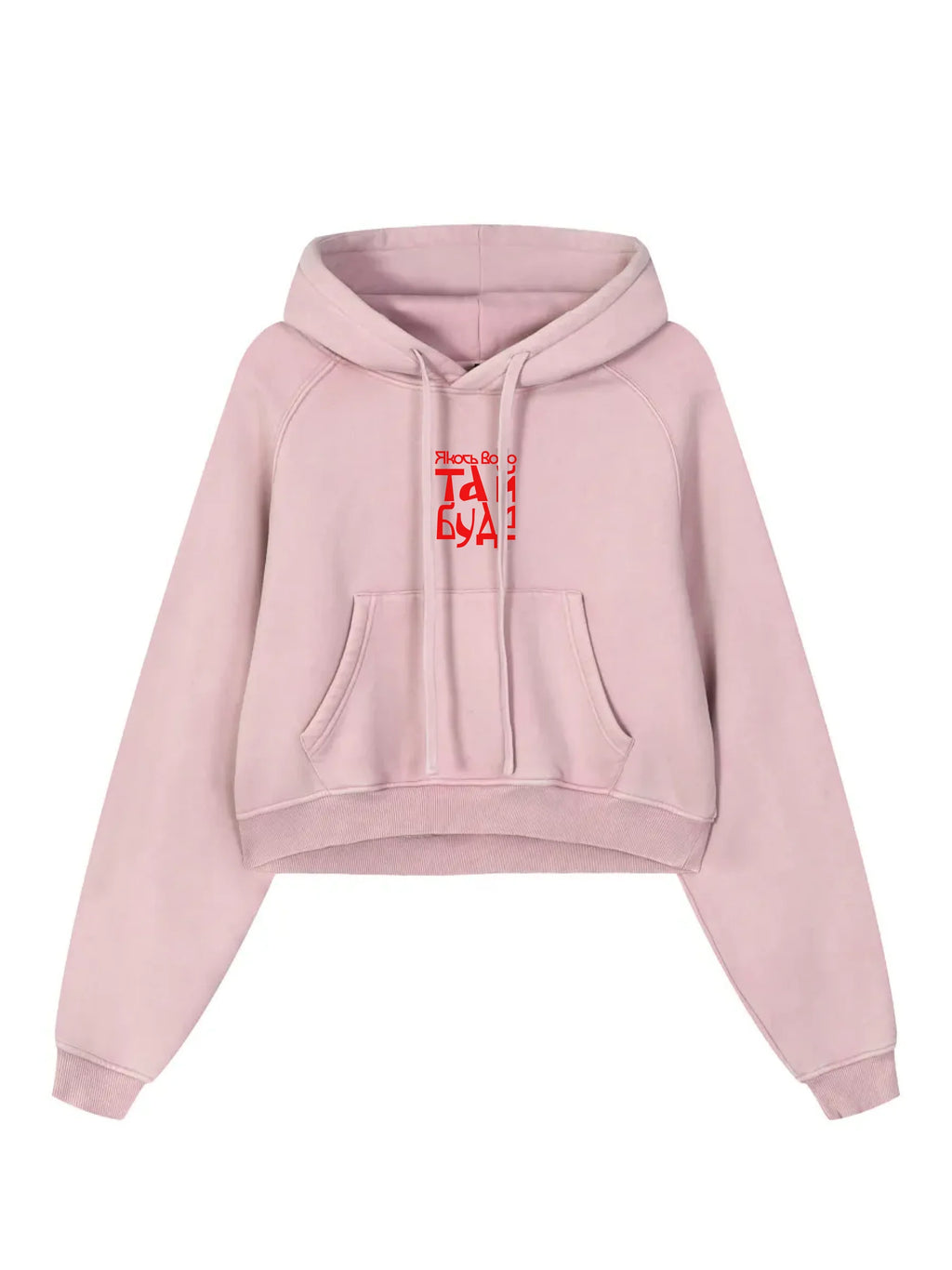 Snow Washed Cropped Hoodie / Якось воно та й буде