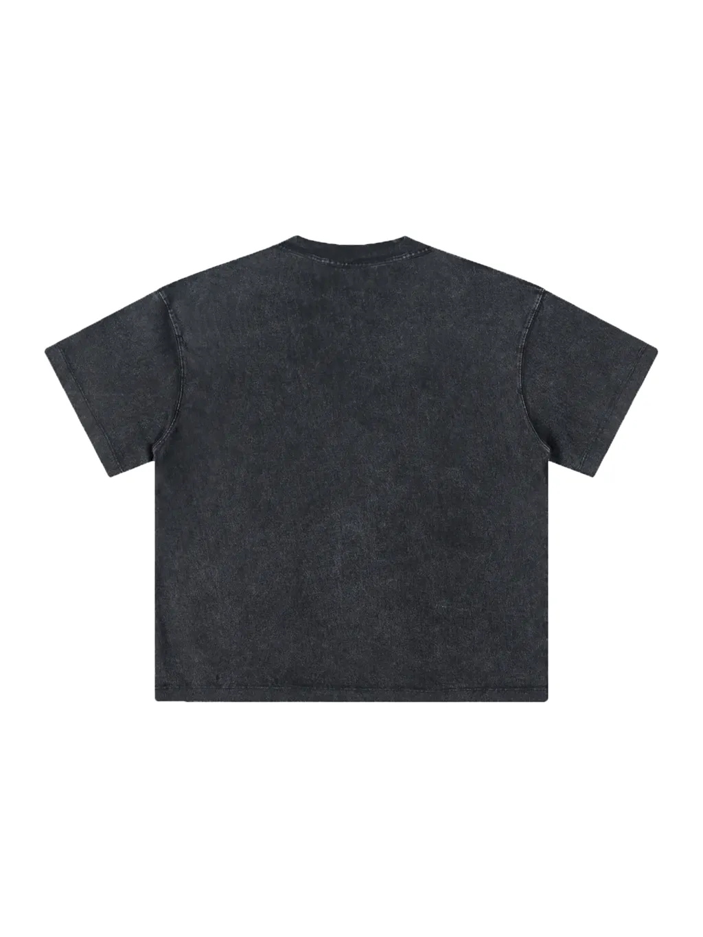 Heavyweight Vintage Washed T-Shirt /  Цитата